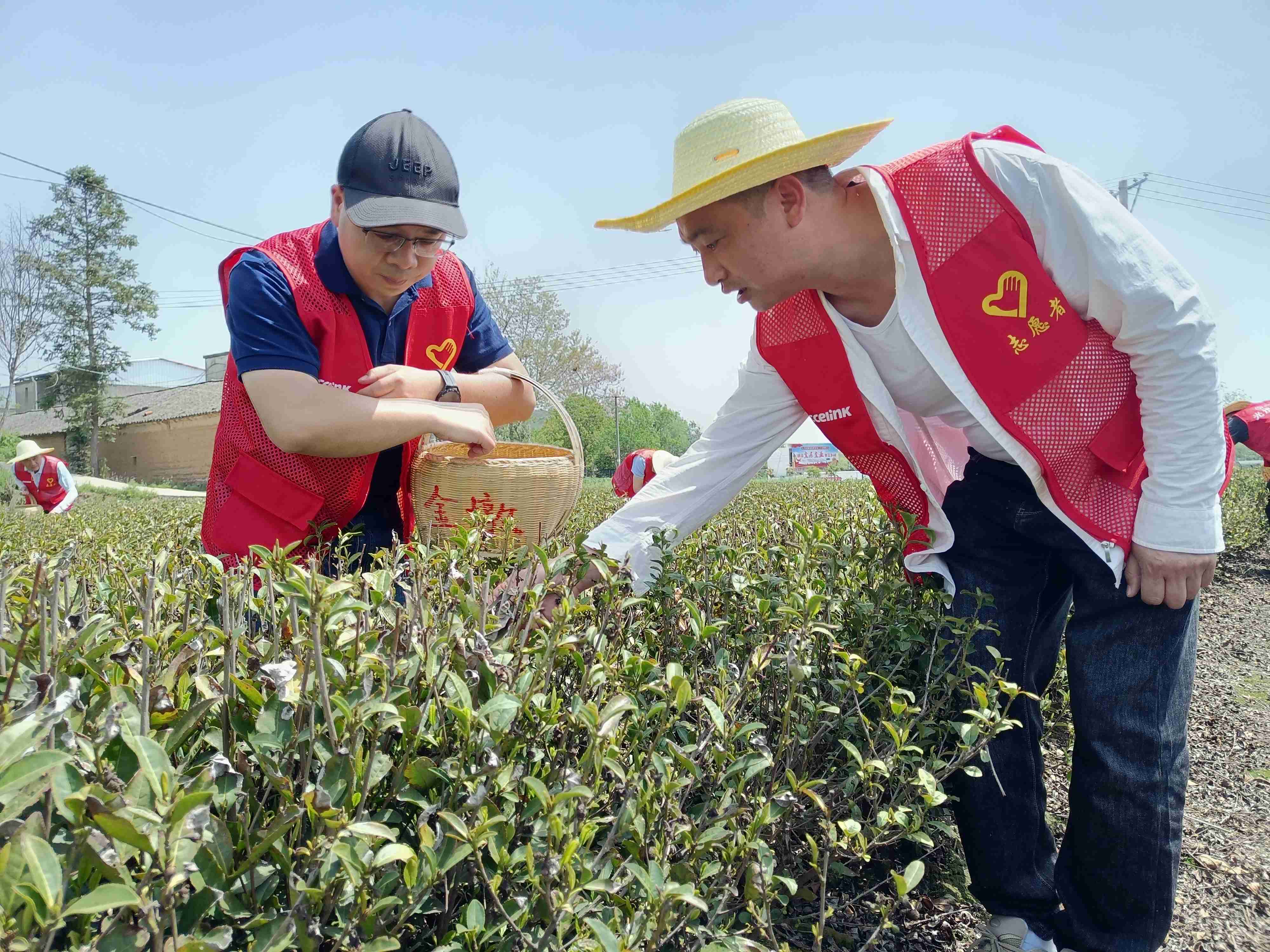 首页| 6008集团有限公司官方网站